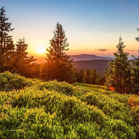 Chata pod Rejvízem Jeseník Exteriér fotografie