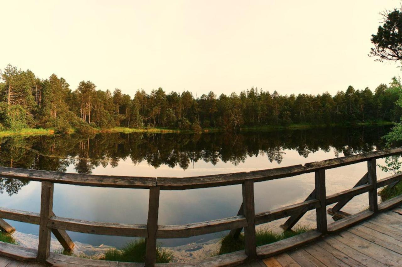 Chata pod Rejvízem Jeseník Exteriér fotografie